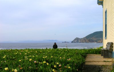 Montara Point Vista by Typeaux