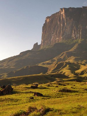 Kukenan Tepuy by Francisco Villegas
