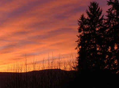 February Sunrise by LoisAnn