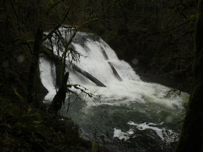 Oregon 2006
