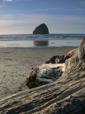 Beach Oregon 2006