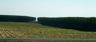 eastern Oregon 049r.jpg