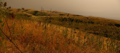 eastern Oregon 058r.jpg