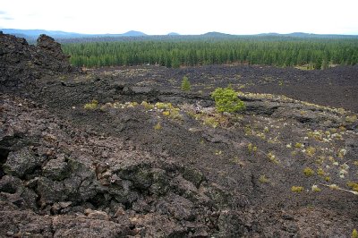 6000 years old lava field