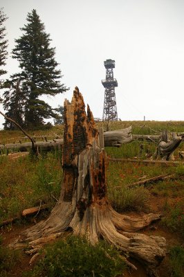 Hat Point fire tower