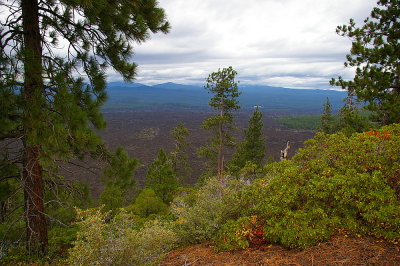 View of lava field from the top of Lava Bute in Bend, OR
