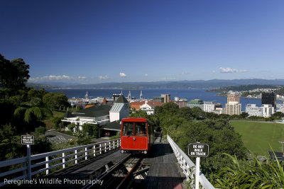 View above Wellington NZ from Kelburn. The funicular railway was built by my Gt- Gt Grandfather