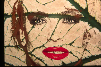 Lips-Caladium.jpg