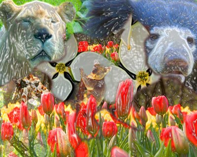 Animal Garden 1