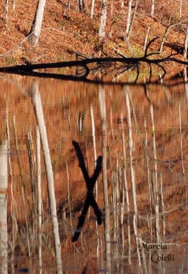 Smokey mountains reflections x Marks the Spot_0601.jpg