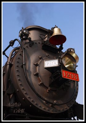 Ohio Central #1293 steam engine-0765.jpg