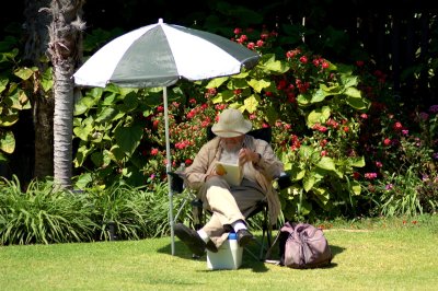 The Reader