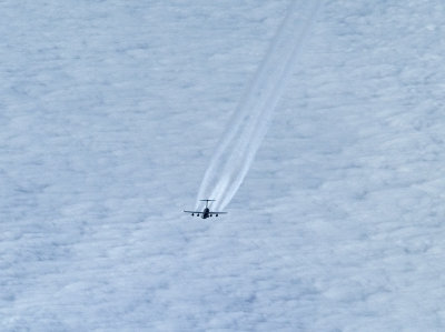 _C290480sm.jpg