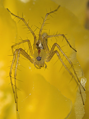 _5101556sm.jpg