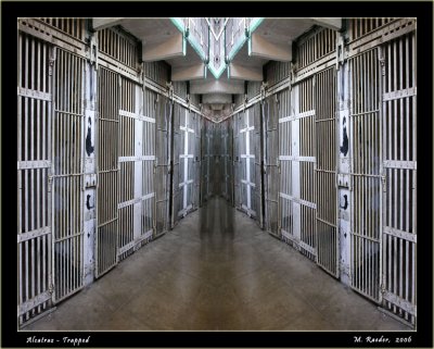 Trapped_452ff