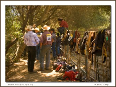 Waiting for the Riding of the Bull_518n