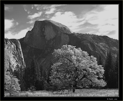 Yosemite_454g