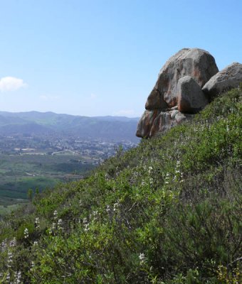 Enjoying the view