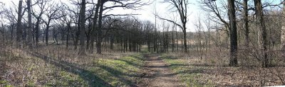 forest preserve pano 2