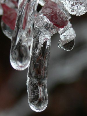 Frozen in Time 1 (close up)