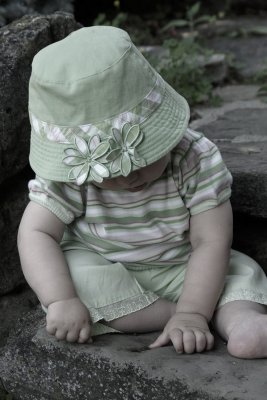 Camera Shy