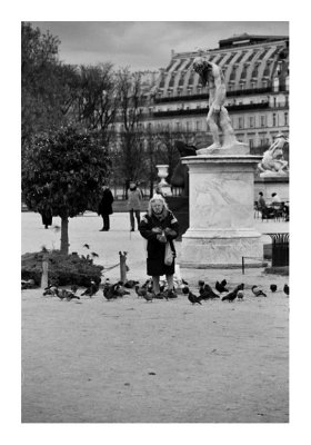 Pigeon lady Paris
