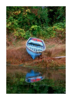 Old Row Boat #2
