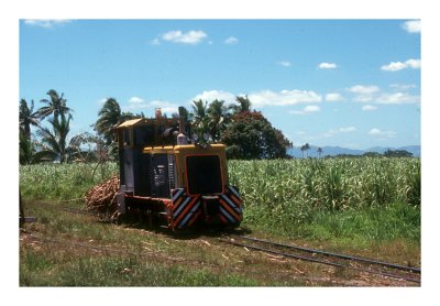 Sugar Cane Train