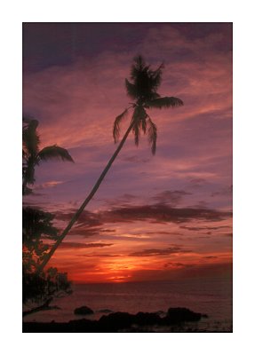 sunset Tavenui