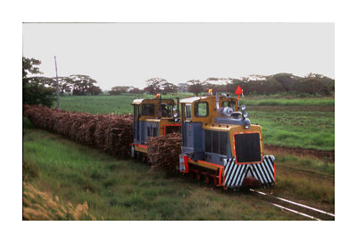 Sugar cane train