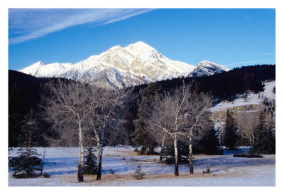 Jasper landscape with Pyramid Mt.
