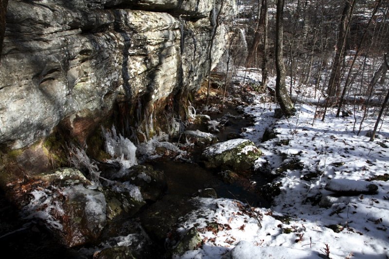 Merril Pond Runoff & Lower Cecil Hollow Falls