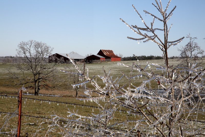 Barn on Old Erbie Road after Ice Storm