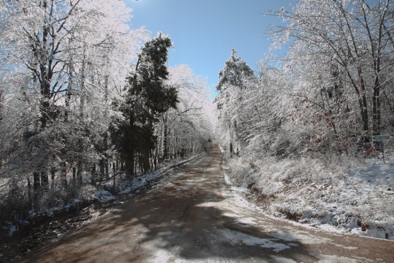 Old Erbie Road After Ice Storm