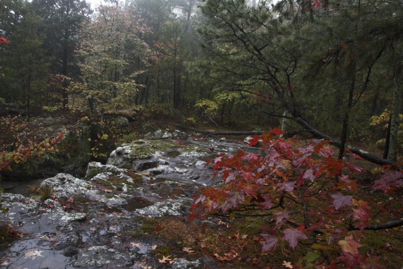 Head of Cecil Hollow Falls, October Color