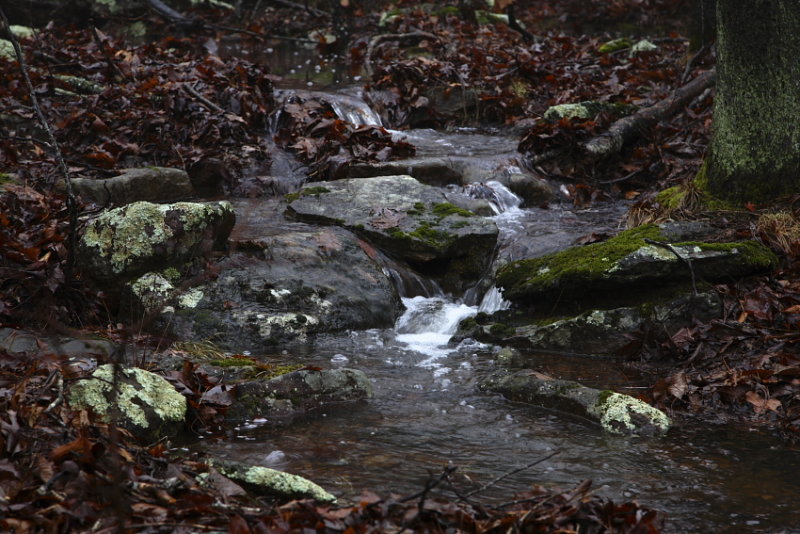 runoff1_5590.JPG