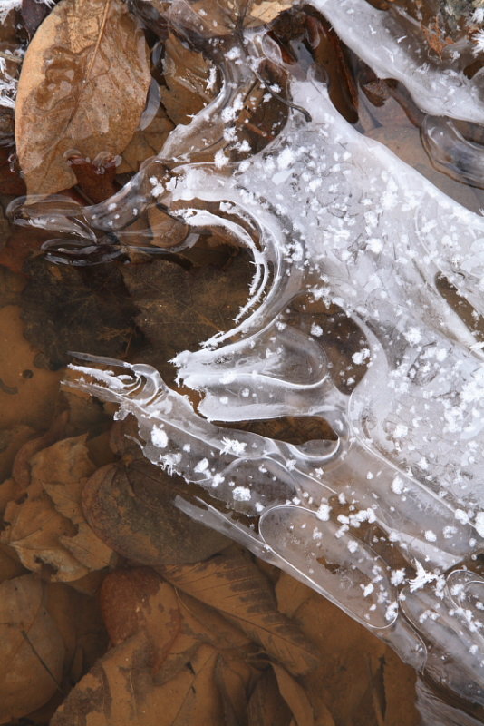 Rocks and Ice 18_5825.JPG