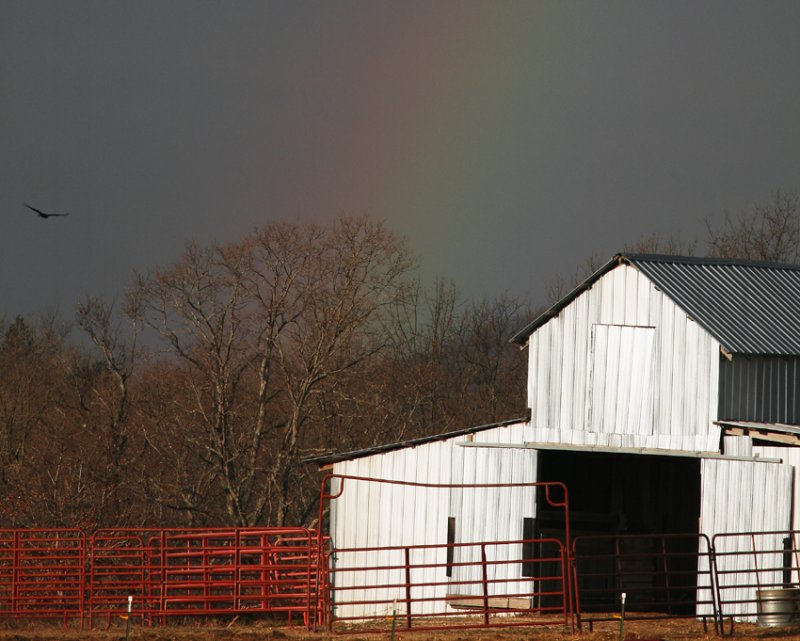 Rainbow, Bird and Barn