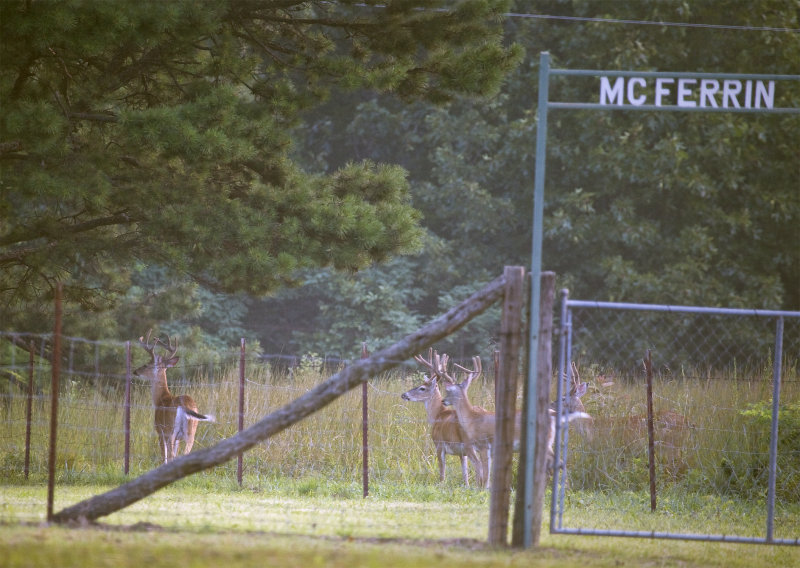 Bucks Paying Last Respects