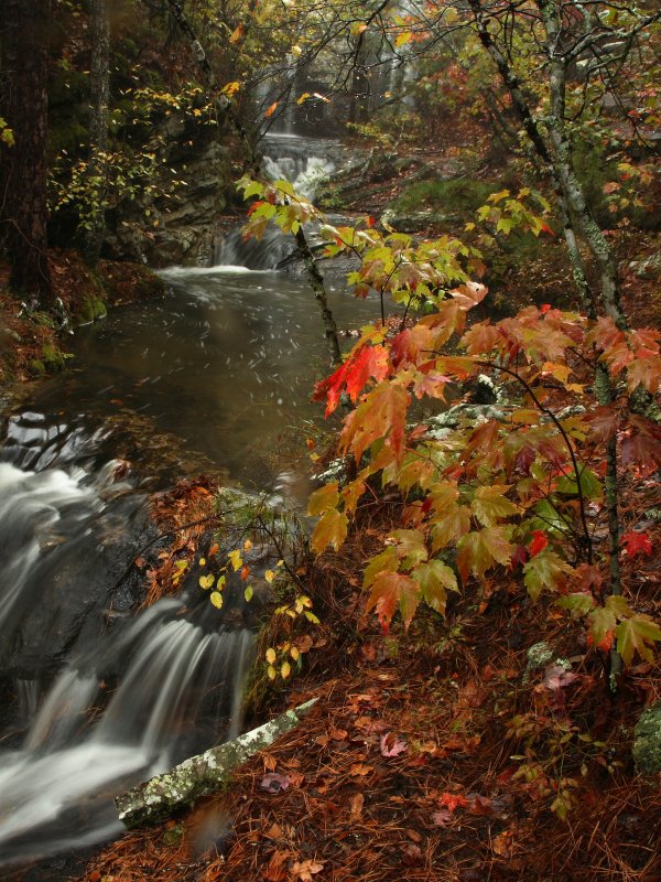 Upper Cecil Hollow Falls in Fall Rain