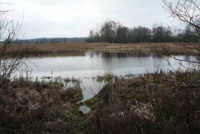 Opłatek nad Narwią 17.12.2006