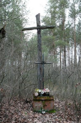Kampinos, czyli ostatni powiew jesieni tej zimy 21.01.2007