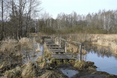 Kampinos 04.02.2007