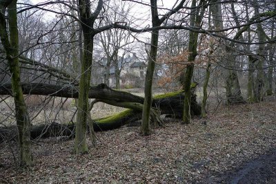 Stara Krępa