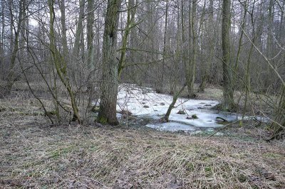 Stara Krępa