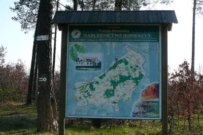 31.03.2007