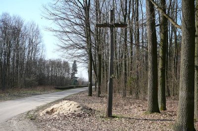 31.03.2007