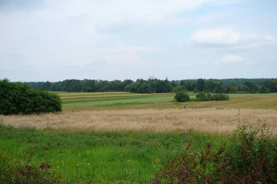 Dolina Rawki