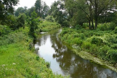 Rawka (Doleck)