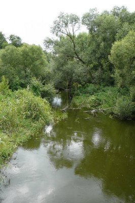 Rawka (Nowy Dwr)